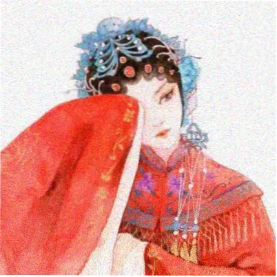 读者青禾头像